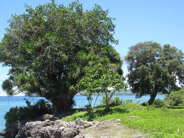 Beautiful Beachfront Very Close to Marine Sanctuary for Sale (BF-7122)