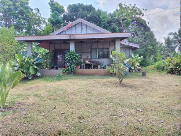 Low-Priced Seaview Overlooking Land for Sale (AG-3000)