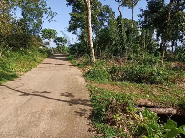 Titled Farm Lot Near Lucena City for Sale (AG-3136)