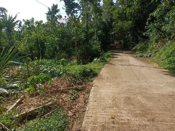 Titled Farm Lot Near Lucena City for Sale (AG-3136)