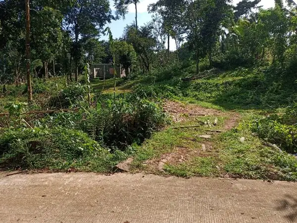 Titled Farm Lot Near Lucena City for Sale (AG-3136)