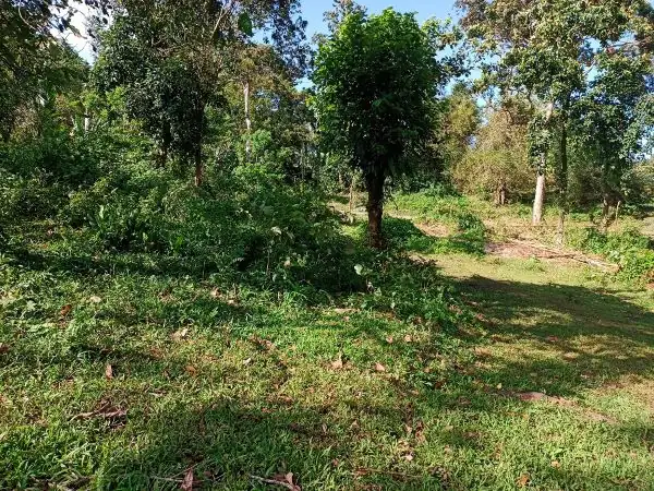 Titled Farm Lot Near Lucena City for Sale (AG-3136)