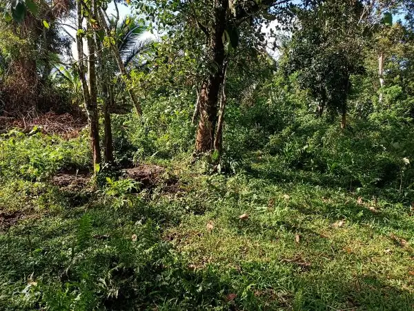 Titled Farm Lot Near Lucena City for Sale (AG-3136)