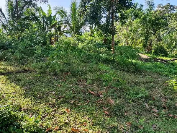 Titled Farm Lot Near Lucena City for Sale (AG-3136)