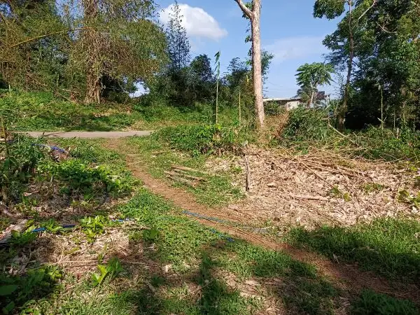 Titled Farm Lot Near Lucena City for Sale (AG-3136)