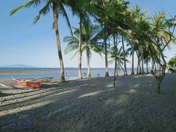 Beach Resort for Sale in Oriental Mindoro (Code: BF-7942)