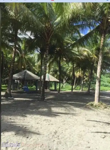 Beach Resort for Sale in Oriental Mindoro (Code: BF-7942)