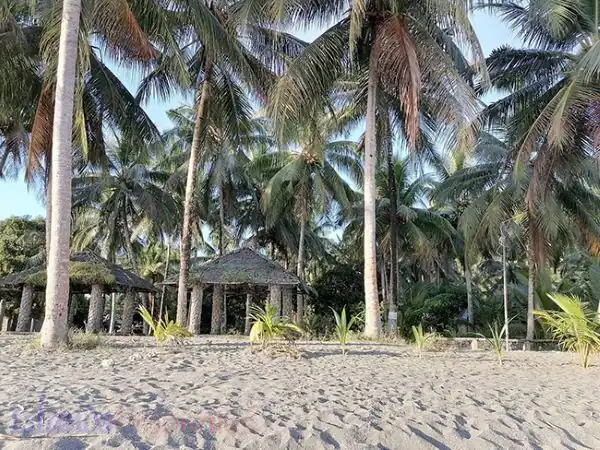 Beach Resort for Sale in Oriental Mindoro (Code: BF-7942)