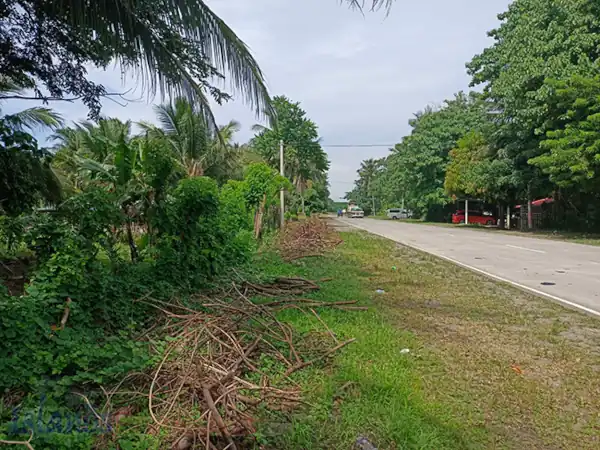 Lot Along Eco-Tourism Highway for Sale (RL-1988)