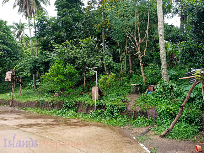 Lakeside Farm for Sale This lakeside lot is planted with more or less 60 rambutan, mango and lanzones, more or less 70 coconut trees.