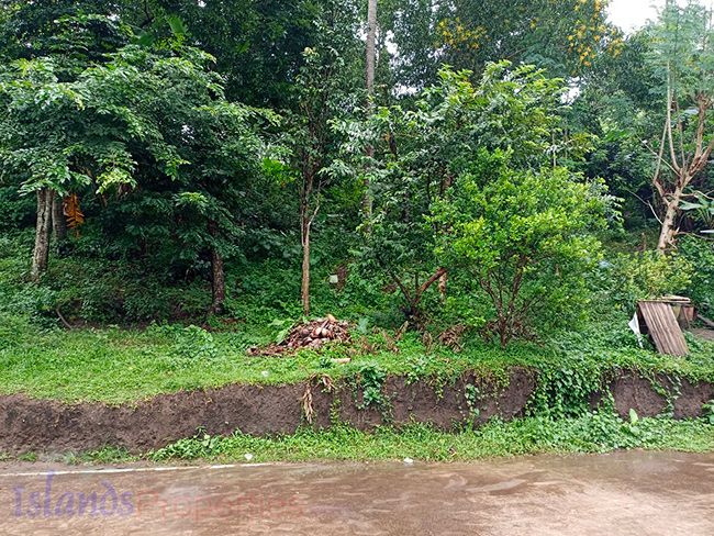 Lakeside Farm for Sale This lakeside lot is planted with more or less 60 rambutan, mango and lanzones, more or less 70 coconut trees.