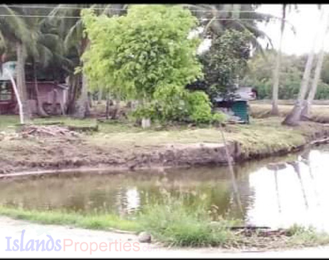 Fish Pond for Sale Total of 10 cages (pitak) for shrimps, crabs & fish.