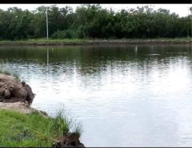 Fish Pond for Sale Total of 10 cages (pitak) for shrimps, crabs & fish.