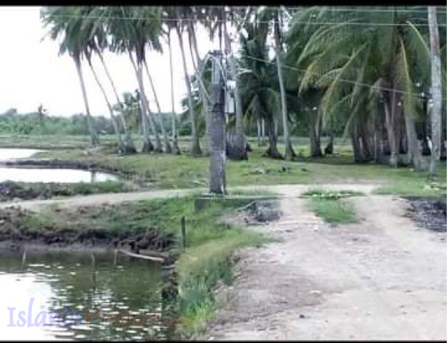 Fish Pond for Sale Total of 10 cages (pitak) for shrimps, crabs & fish.