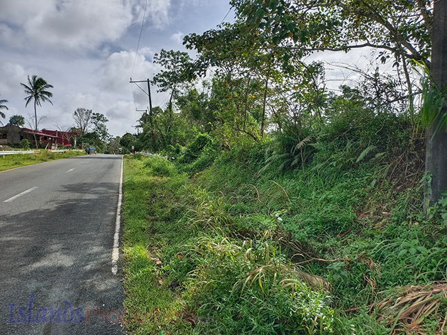 Agriland Agricultural Land in Lucban, Quezon near Highway Agricultural Lot