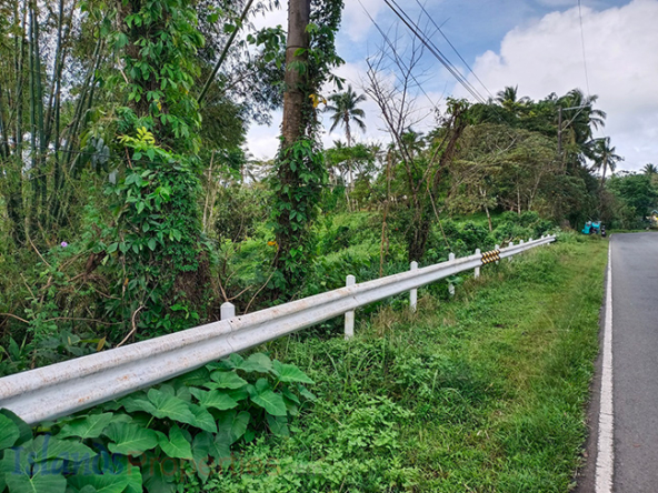 Agriland Agricultural Land in Lucban, Quezon near Highway Agricultural Lot