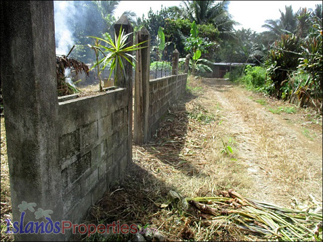 Farm Lot for Sale Surrounded with concrete fence