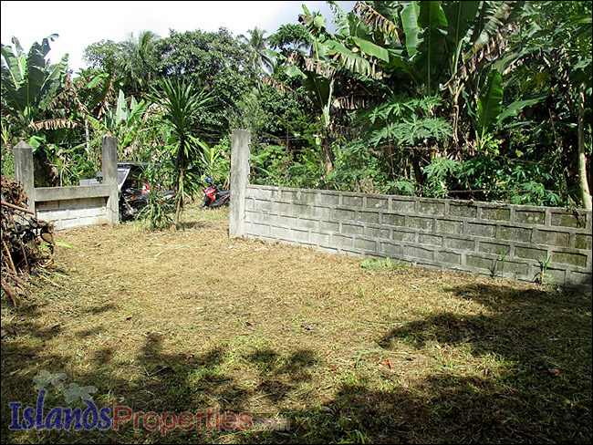 Farm Lot for Sale Surrounded with concrete fence