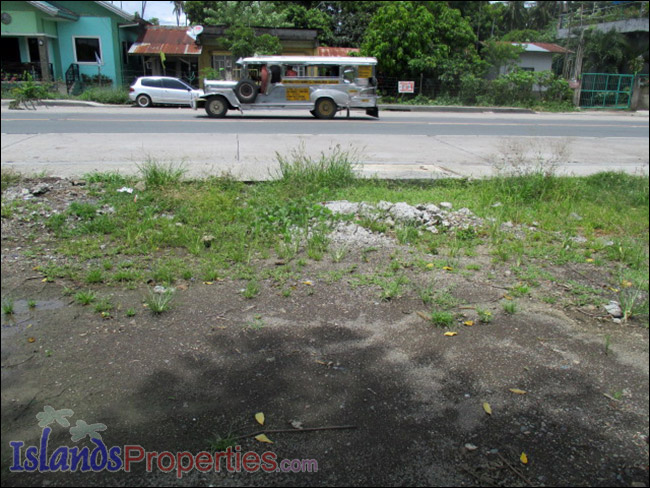 Agro-Industrial Lot for Sale This property is located along the national highway