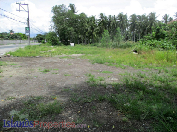 Agro-Industrial Lot for Sale This property is Ideal for warehouse or industrial establishment
