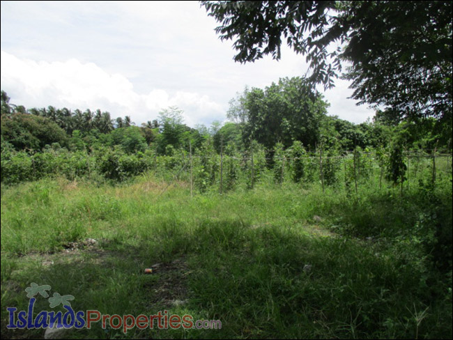 Agro-Industrial Lot for Sale This property is Ideal for warehouse or industrial establishment