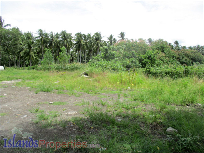 Agro-Industrial Lot for Sale This property is Ideal for warehouse or industrial establishment