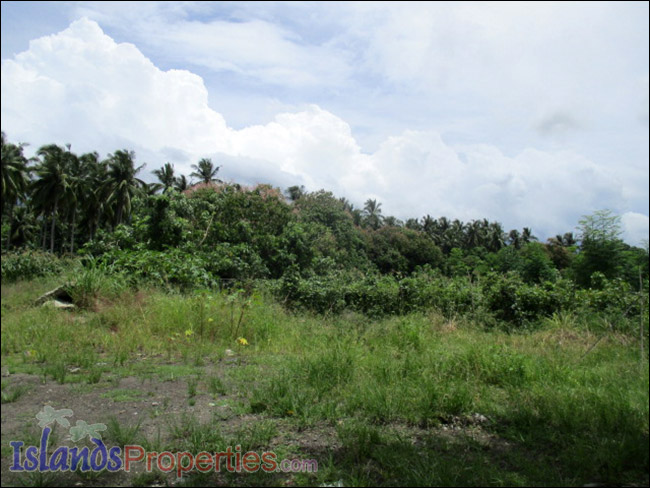 Agro-Industrial Lot for Sale This property is Ideal for warehouse or industrial establishment