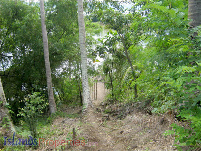 Fishpond for Sale This fishpond property is located walking distance to a concrete barangay road it has right of way.