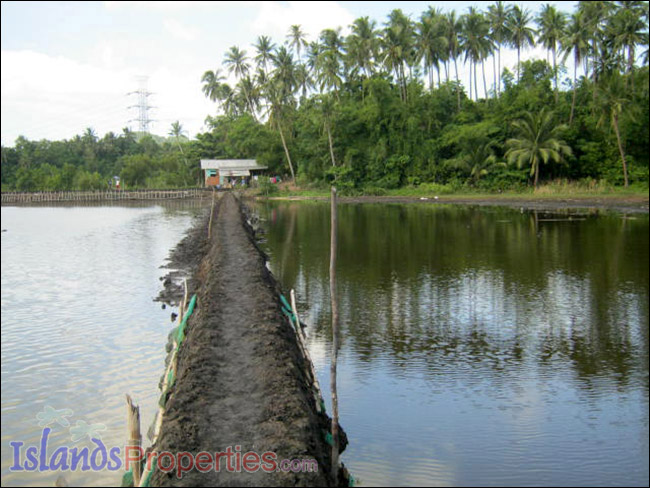 Fishpond for Sale This fishpond property is located walking distance to a concrete barangay road it has right of way.