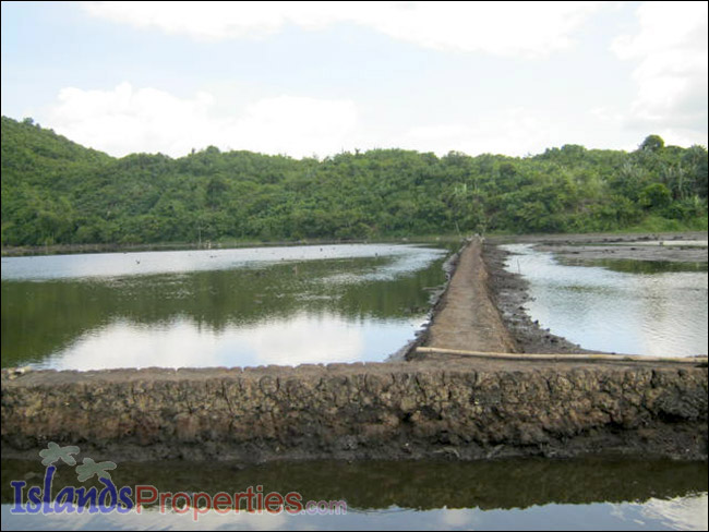 Fishpond for Sale This fishpond property is located walking distance to a concrete barangay road it has right of way.