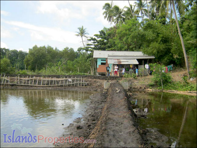 Fishpond for Sale This fishpond property is located walking distance to a concrete barangay road it has right of way.