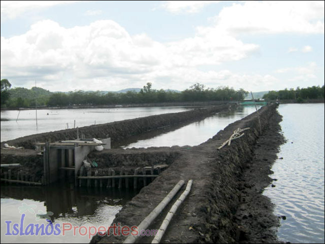 Fishpond for Sale This fishpond property is located walking distance to a concrete barangay road it has right of way.