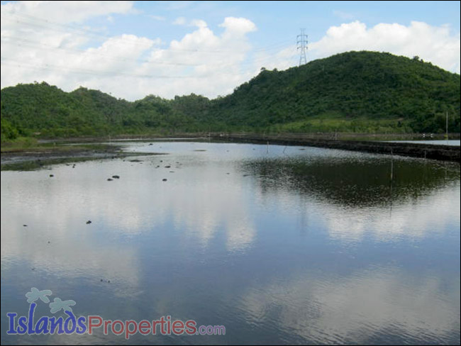 Fishpond for Sale This fishpond property is located walking distance to a concrete barangay road it has right of way.