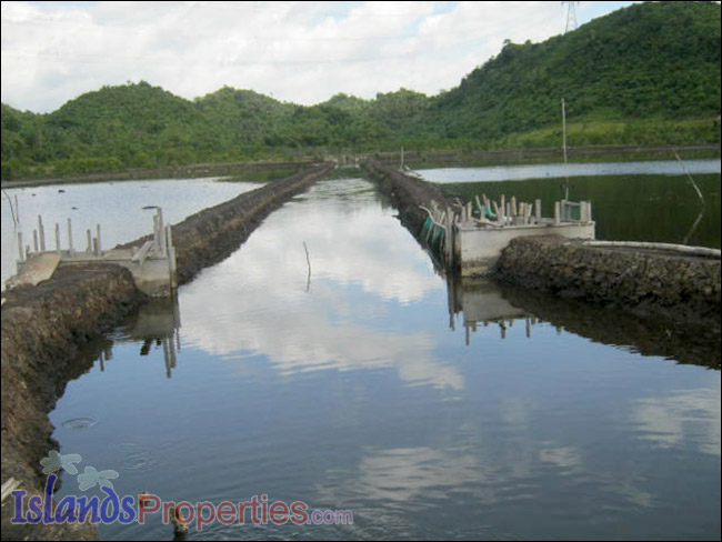 Fishpond for Sale This fishpond property is located walking distance to a concrete barangay road it has right of way.