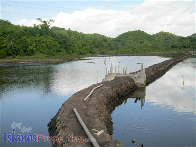 Fishpond for Sale This fishpond property is located walking distance to a concrete barangay road it has right of way.