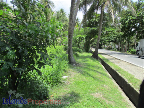 Cololand with Sea View Along Highway. Planted with fruit bearing coconut trees