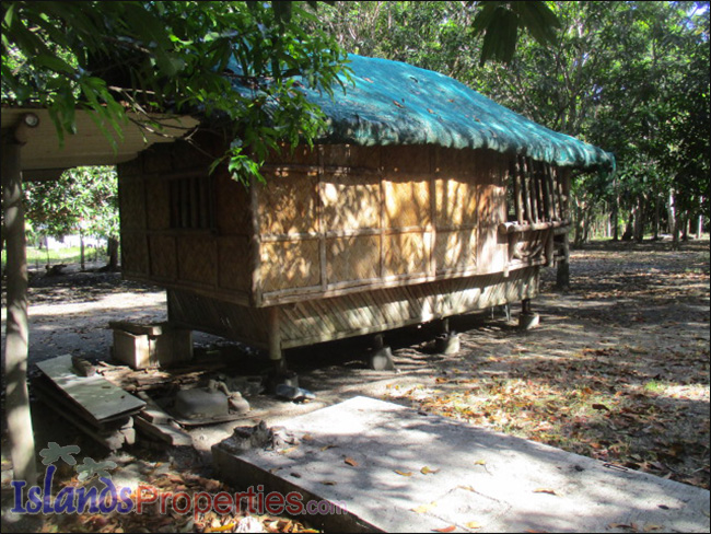 Small Farm with Mango Trees for Sale Planted with about 40 mango and fruit trees. A hut