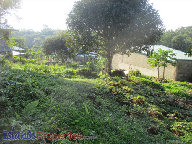 Lot overlooking the Lake for Sale Agricultural land