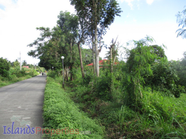 Beautiful Farm for Sale This property is located along concrete brgy road