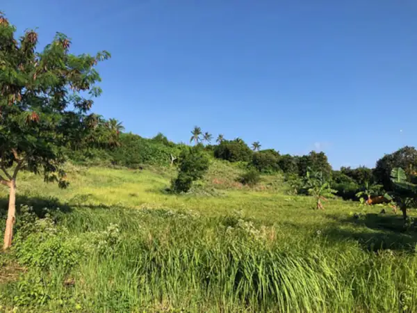 12 Hectares Titled Prime Lot with Private White Sand Beach Facing Boracay in Carabao Island, Romblon for Sale (Code: BF-7020)