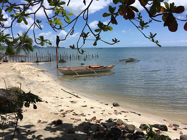 Beachfront Private Resort Near Lucena City coconut trees studded south facing sandy beach.