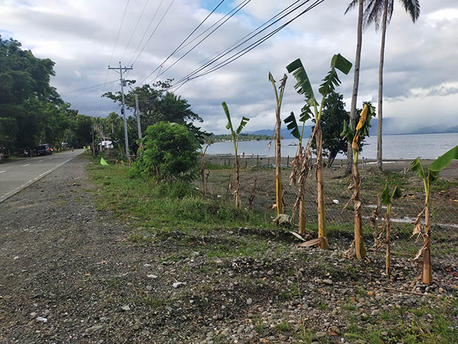 Beachfront site