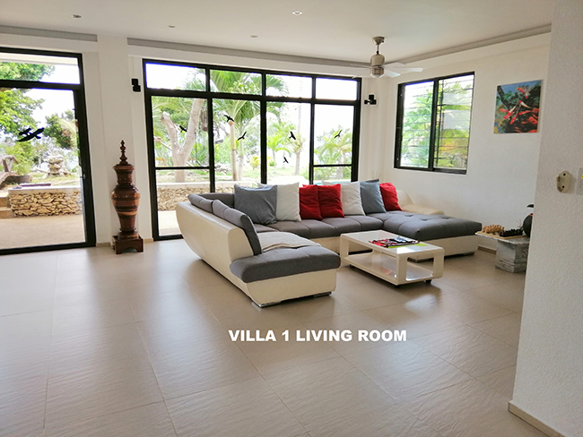 the living room of the 1st villa. simplistic and modern design living room