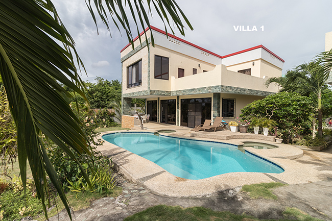 another side profile of the swimming pool close to the twin villas