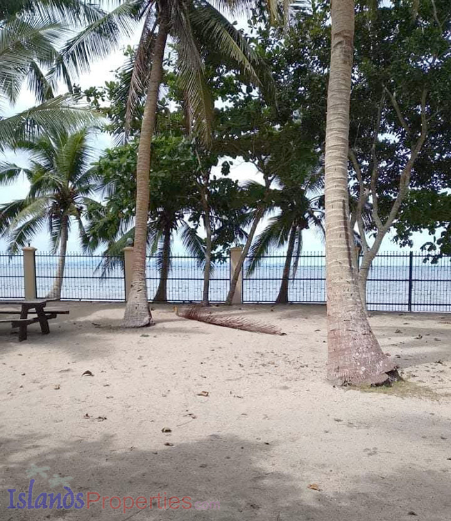 Beachfront lot with coconut trees.