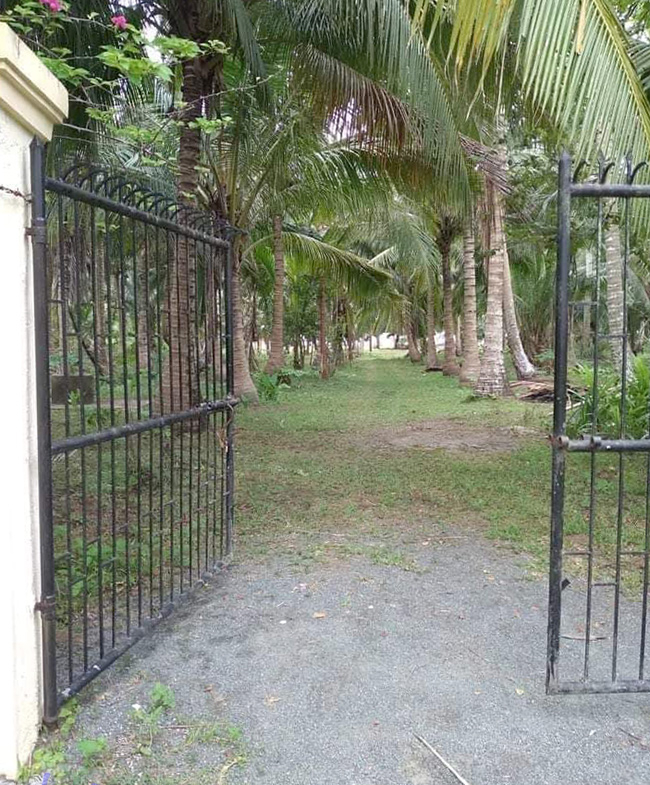 Beachfront lot with gated concrete fence