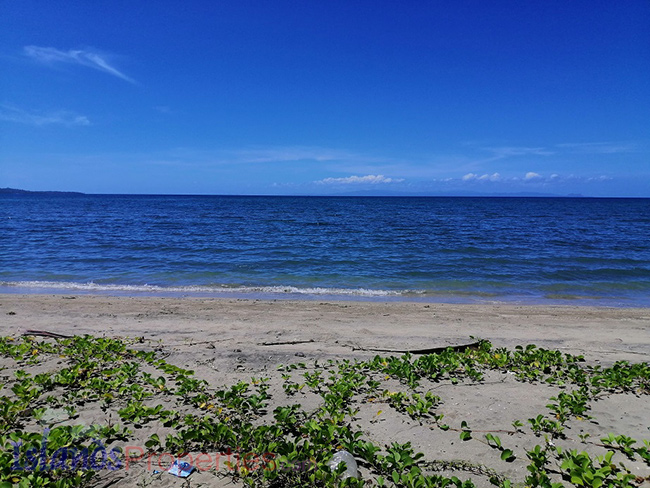 Beachfront property in Agdangan, Quezon this is the coastline