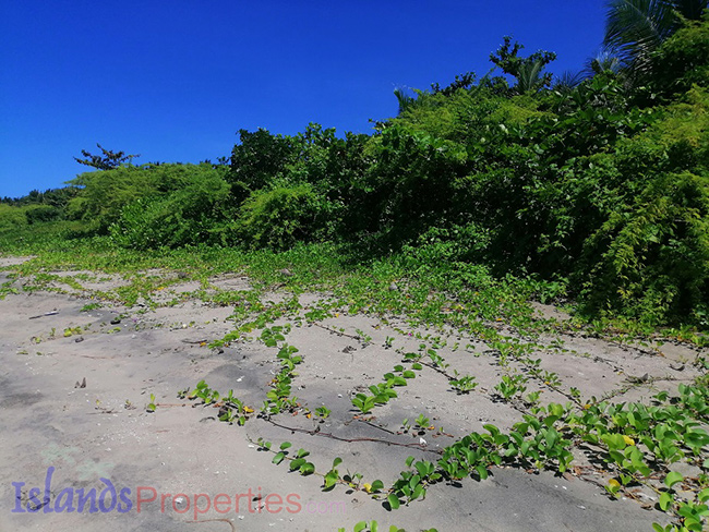 Beachfront property in Agdangan, Quezon with surrounding vegetations