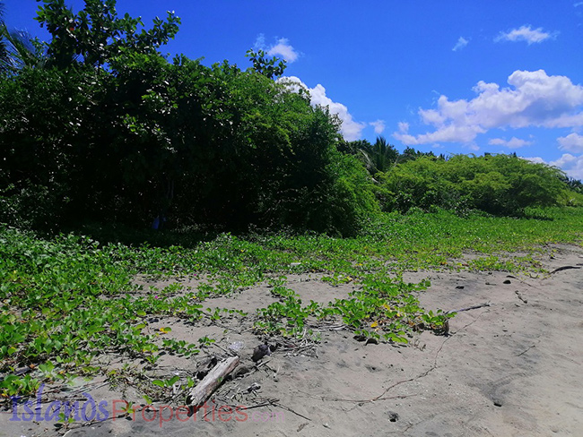 Beachfront property in Agdangan, Quezon with surrounding vegetations