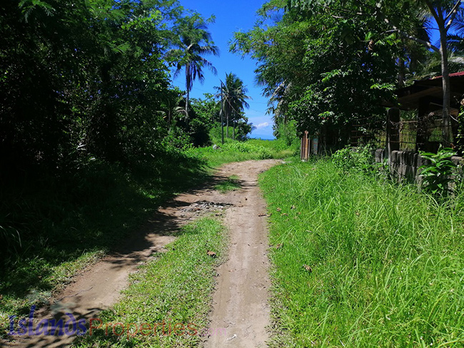 Beachfront property in Agdangan, Quezon this is the entry way right of way